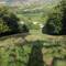 Cooper hill (cheese roll) from the top