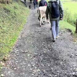 Hiking companion