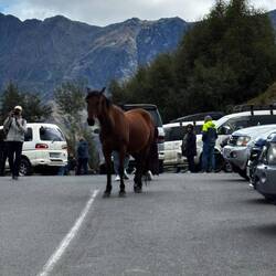 At the base of the church where people have driven up