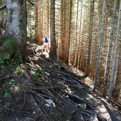 Letztes Stück zum Gipfel