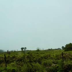 Nichts als Nebel und Niesel auf dem Berg zwischen Norden und Süden