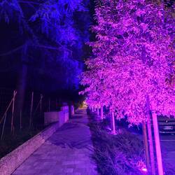 Montegrotteterme am Abend