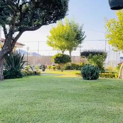 Una pequeña muestra del camping Vila Chã