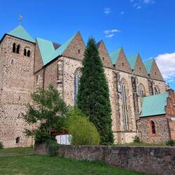 Universitätskirche St. Petri, Romanik und Gotik