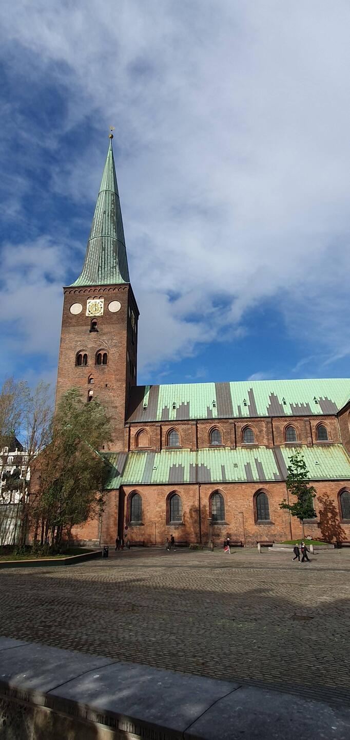 Dom Aarhus