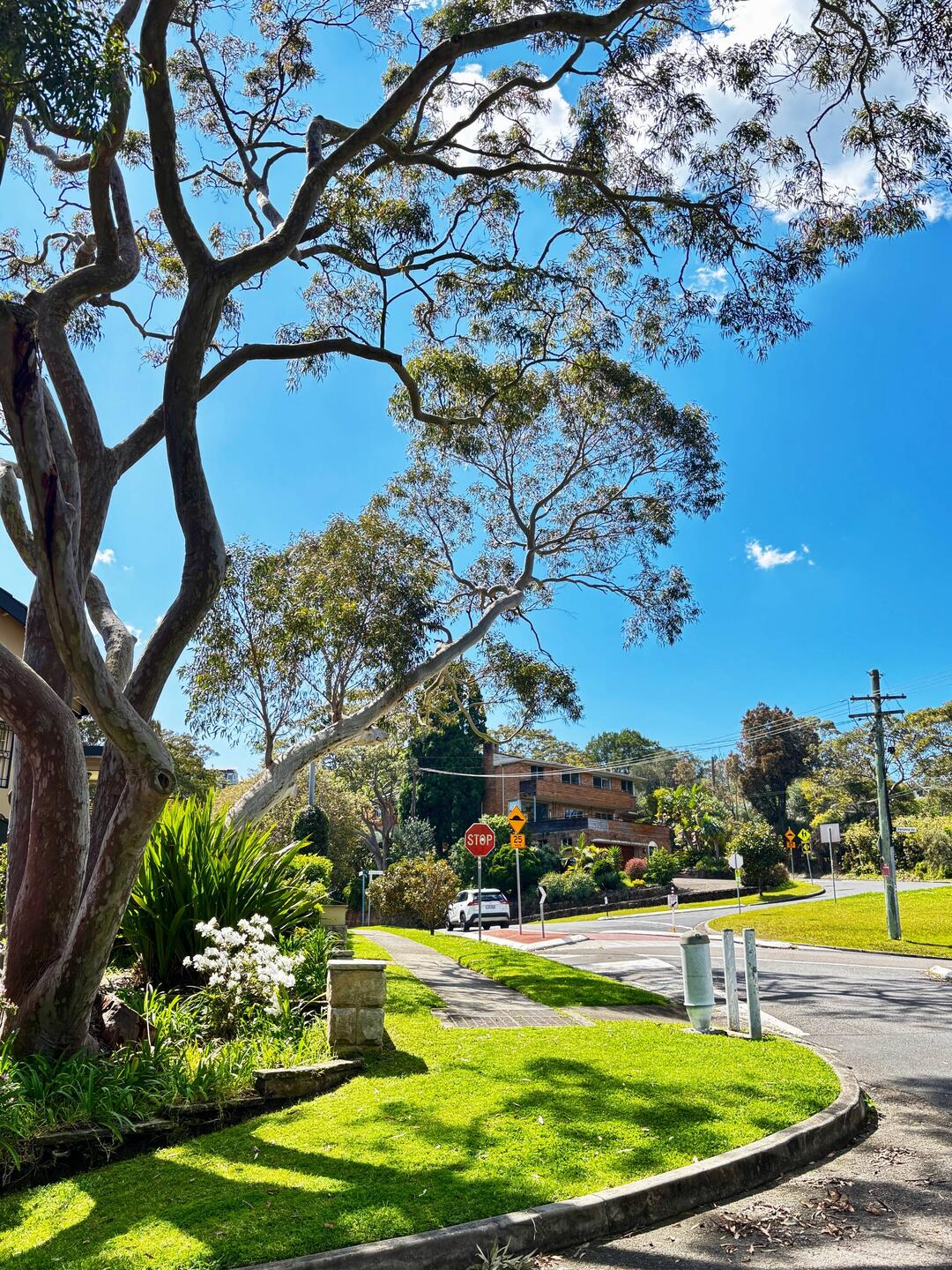 De start in Balgowlah Heights