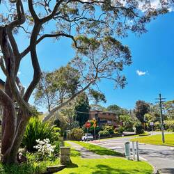 De start in Balgowlah Heights