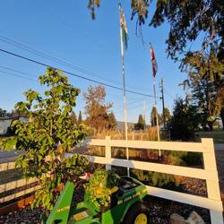 ....natürlich mit Luzerner Fahne 🥰....