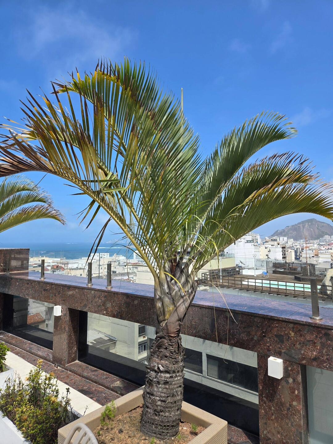 Rooftop