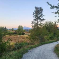 Schöne Natur auf dem Weg nach Vancouver