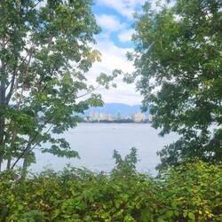 Die City Sightseeing Tour führte viel am Wasser entlang