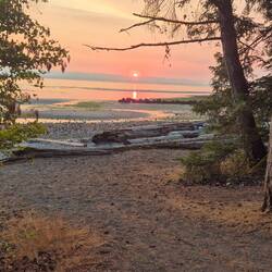 Der Smog der Waldbrände verlieh der Sonne die richtige Schärfe