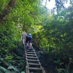 In Neuseeland wäre man hier den Berg hinaufgestrauchelt