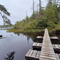 Der Floating-Boardwalk ist keine Konstruktion, die viel Vertrauen erzeugt