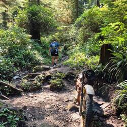 Dieses Motorrad hat schon bessere Zeiten gesehen