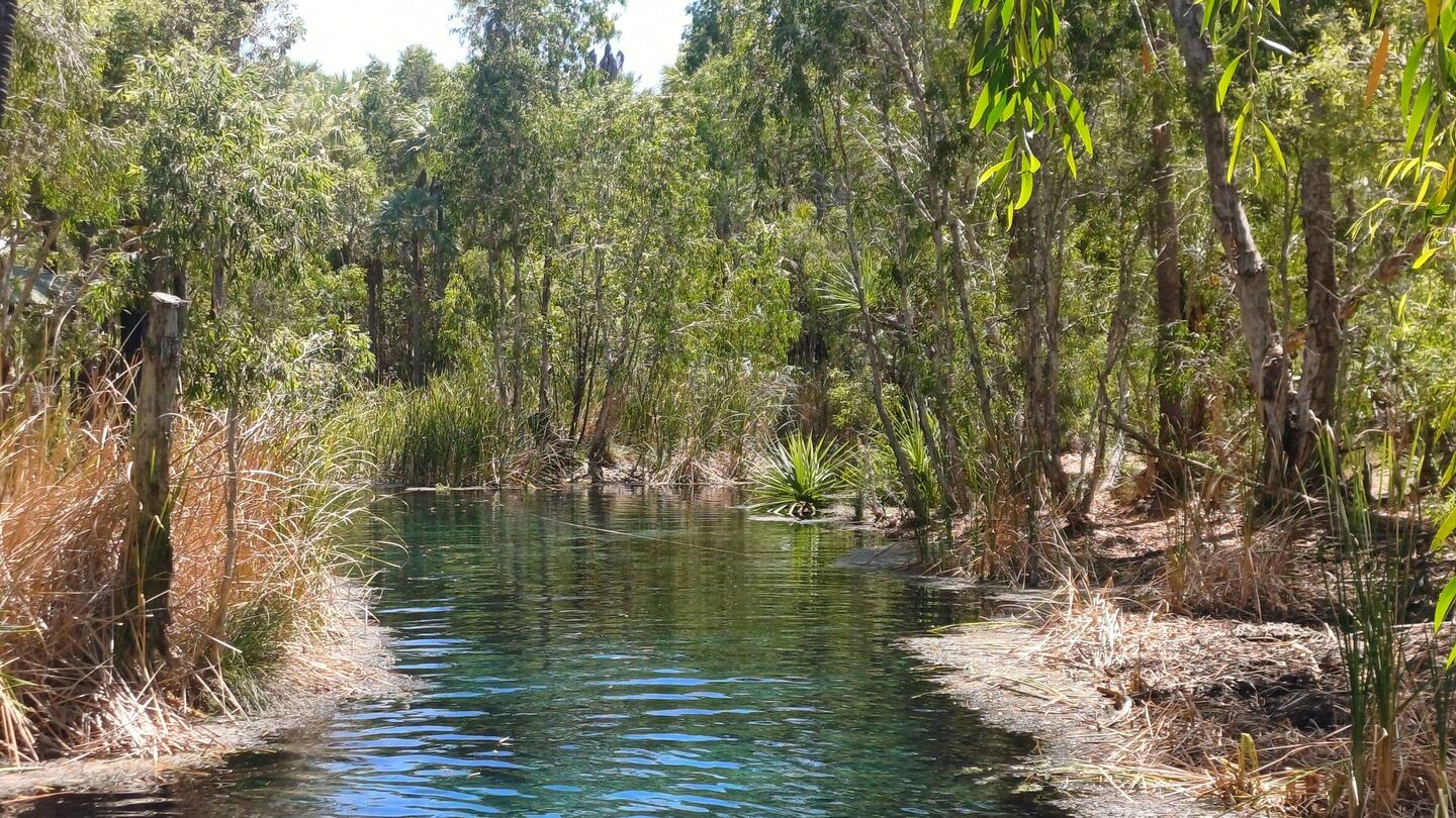 Bitter Springs😇