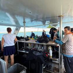 Es wird sich häuslich eingerichtet