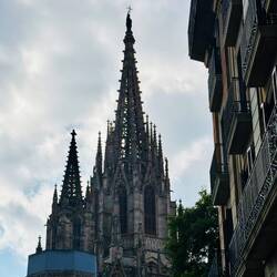 Cathedral of Barcelona