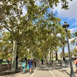 Very pretty park and much needed shade!