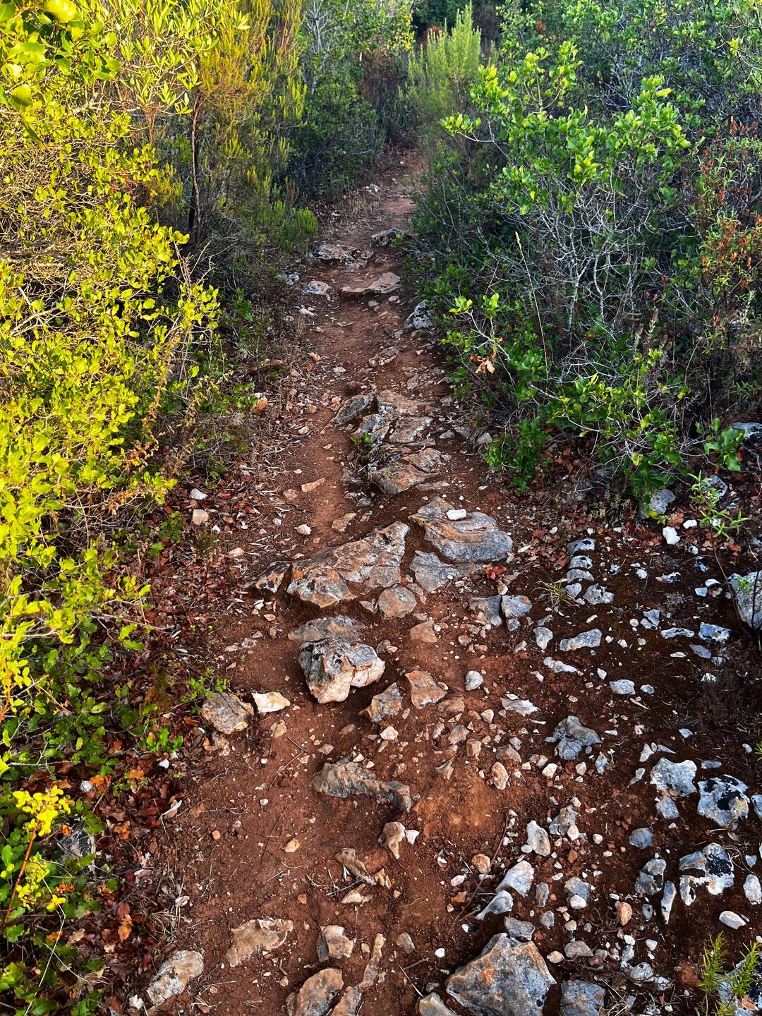 A lot of this (pics never show the truth).