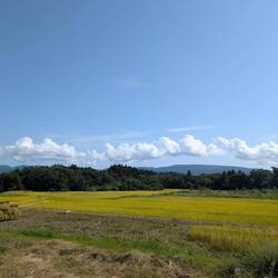 Blick bis zu den Bergen