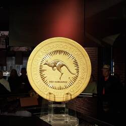 The 1 million dollar coin