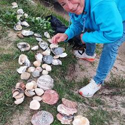 Angela die Muschelsucherin