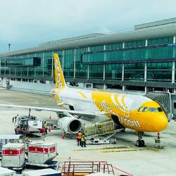 Wir flogen mit Scoot Air