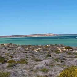 Shark Bay view