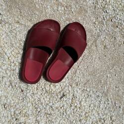 Gorgeous shell beach