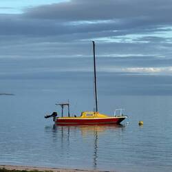 Shark bay boats