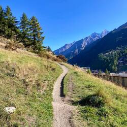Auf dem MTB Trail Zermatt - Visp