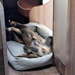 Es ist anstrengend, immer packen die ein und aus. Endlich mal ein paar Tage im Club