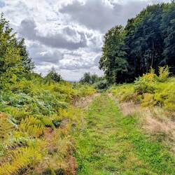 Single Trail 2