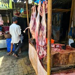 Nichts für schwache Nerven