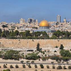 Looking up toward Mt of Olives