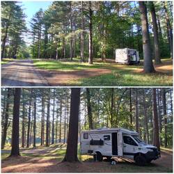 Brasher State Forest Boondocking