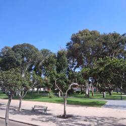 Ein schattiger Stadtpark.