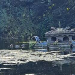 Was ist das denn für ein Vogel??