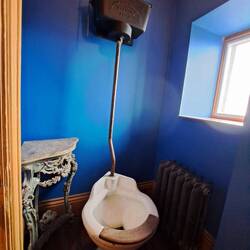 Auch Könige müssen mal