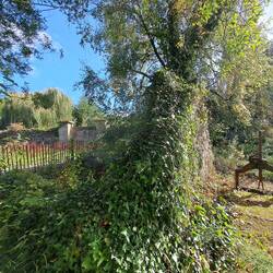 Der Weg führt durch den Schlosspark