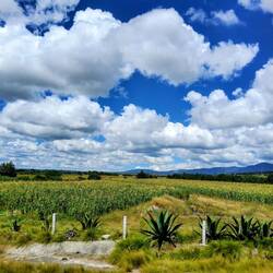 Photo taken from the bus, on the Varacruz - Puebla road.