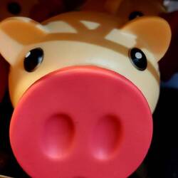 Und hier sollte es eigentlich Wolle geben. Kreativladen. Verrückte Holländer!