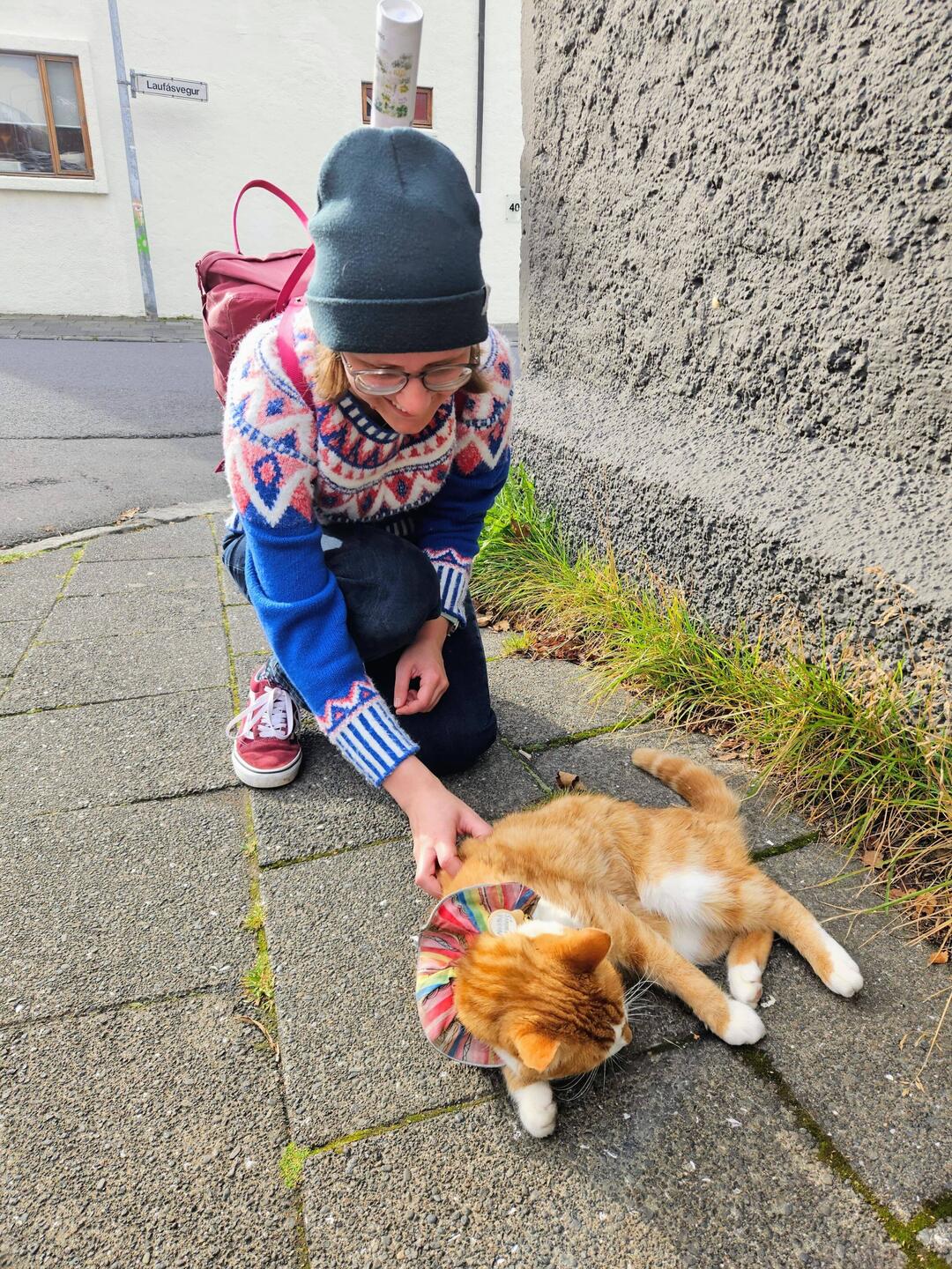 Süße Katze mit süßem Halsband