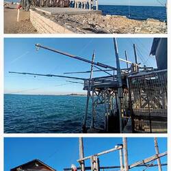 Barletta