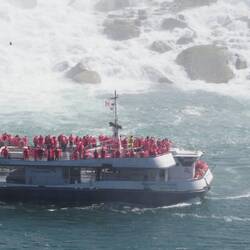 The Red Coats are coming!