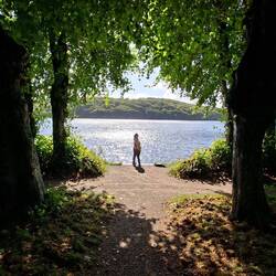 Ein in 4 Stufen terrassierter Barockgarten führte hier hinunter an den See