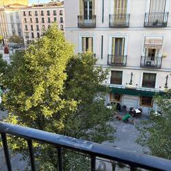 View from balcony