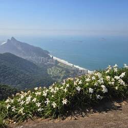 Aussicht Auf Rio