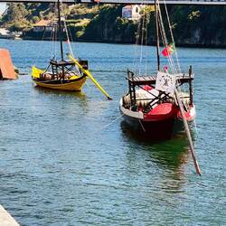 Barcos auténticos de la producción nacional